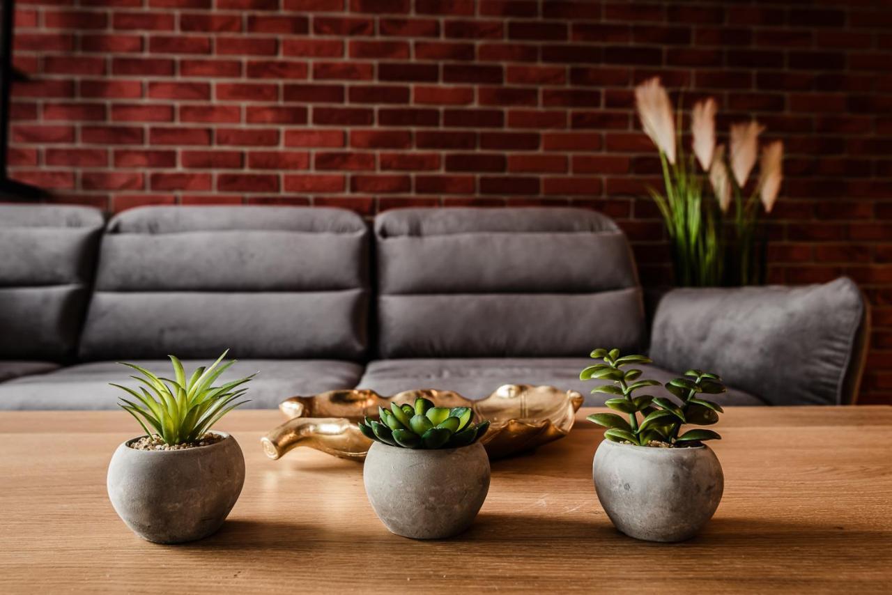 Loft Apartament Aleje Wolnosci Nowy Sącz Buitenkant foto